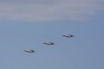 Dcim18089/DSC_7866