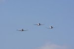Dcim18089/DSC_7890