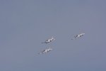 Dcim18089/DSC_7892