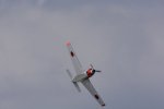 Dcim18089/DSC_7902