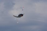 Dcim18089/DSC_7921