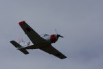 Dcim18089/DSC_7951