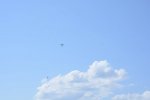 Dcim18089/DSC_8040