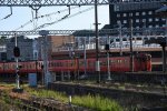 Dcim18090/DSC_1694