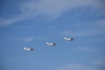 Dcim18092/DSC_1913