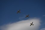 Dcim18092/DSC_1921