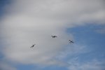 Dcim18092/DSC_1936