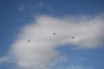 Dcim18092/DSC_1939