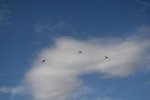Dcim18092/DSC_1940