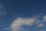 Dcim18092/DSC_1941