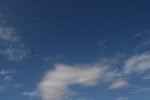 Dcim18092/DSC_1942