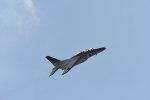 Dcim18092/DSC_1985