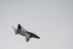 Dcim18092/DSC_1987