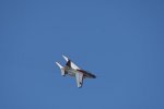 Dcim18092/DSC_1988