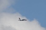 Dcim18092/DSC_1989