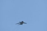 Dcim18092/DSC_1998