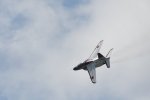 Dcim18092/DSC_2009