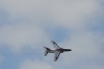 Dcim18092/DSC_2028