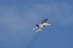 Dcim18093/DSC_2128