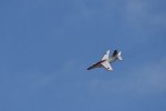 Dcim18093/DSC_2130