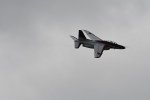 Dcim18093/DSC_2146