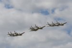 Dcim18094/DSC_2165