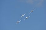 Dcim18094/DSC_2172