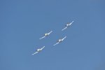 Dcim18094/DSC_2173