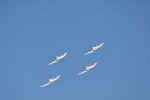 Dcim18094/DSC_2175