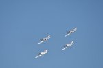 Dcim18094/DSC_2176