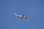 Dcim18094/DSC_2185