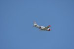 Dcim18094/DSC_2187