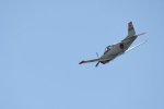 Dcim18094/DSC_2203