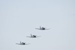 Dcim18094/DSC_2253