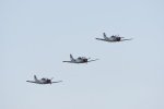 Dcim18094/DSC_2256
