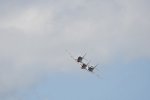 Dcim18094/DSC_2284
