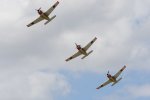 Dcim18095/DSC_2296