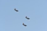 Dcim18095/DSC_2300