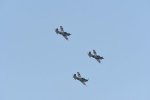 Dcim18095/DSC_2301