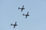 Dcim18095/DSC_2304