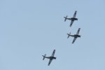 Dcim18095/DSC_2305