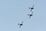Dcim18095/DSC_2306