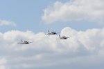 Dcim18095/DSC_2309