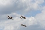 Dcim18095/DSC_2311