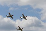 Dcim18095/DSC_2312