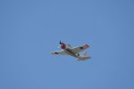 Dcim18095/DSC_2347