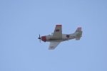 Dcim18095/DSC_2353