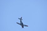 Dcim18095/DSC_2356