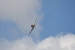 Dcim18095/DSC_2371