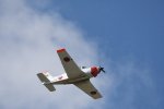 Dcim18095/DSC_2392